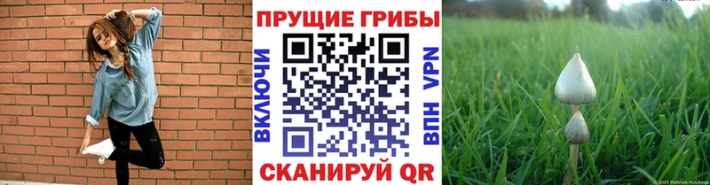 Псилоцибиновые грибы мицелий  MEGA ссылка  Лиски 